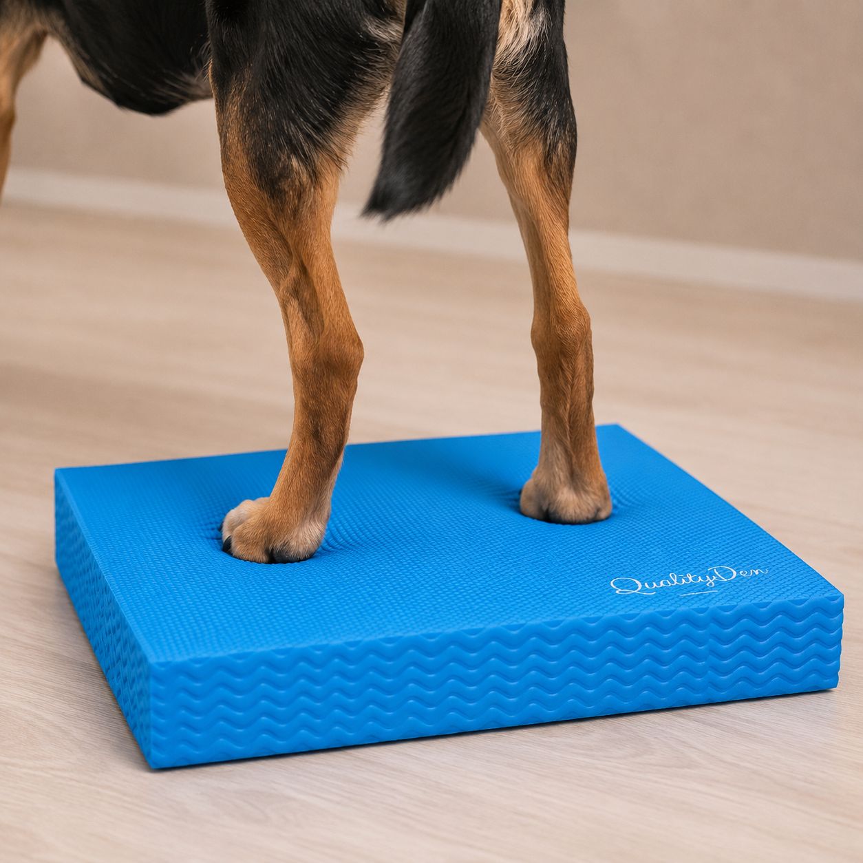 Quality Den Balance Pad für Hunde – Produktempfehlung von Tiertherapie Zietz Herzberg am Harz