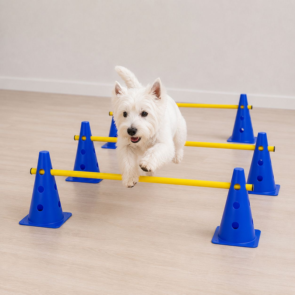 Koordinations-Set für Hunde – Produktempfehlung von Tiertherapie Zietz Herzberg am Harz