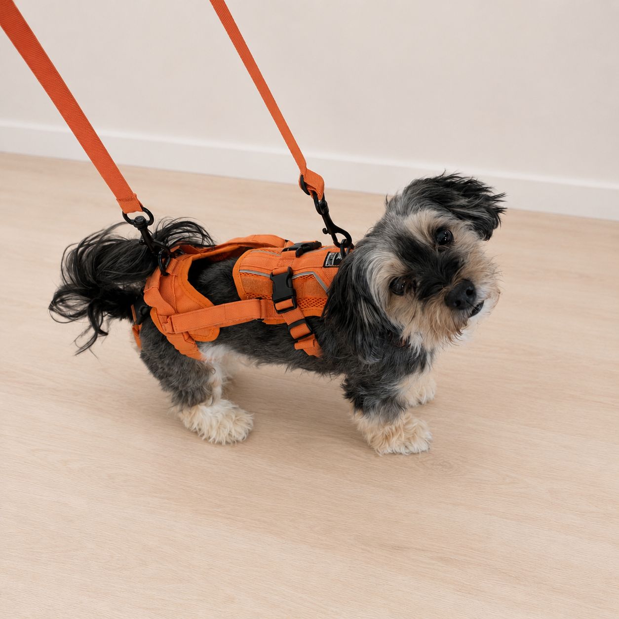 Unterstützungsgeschirr nach OP für Hunde – Produktempfehlung von Tiertherapie Zietz Herzberg am Harz