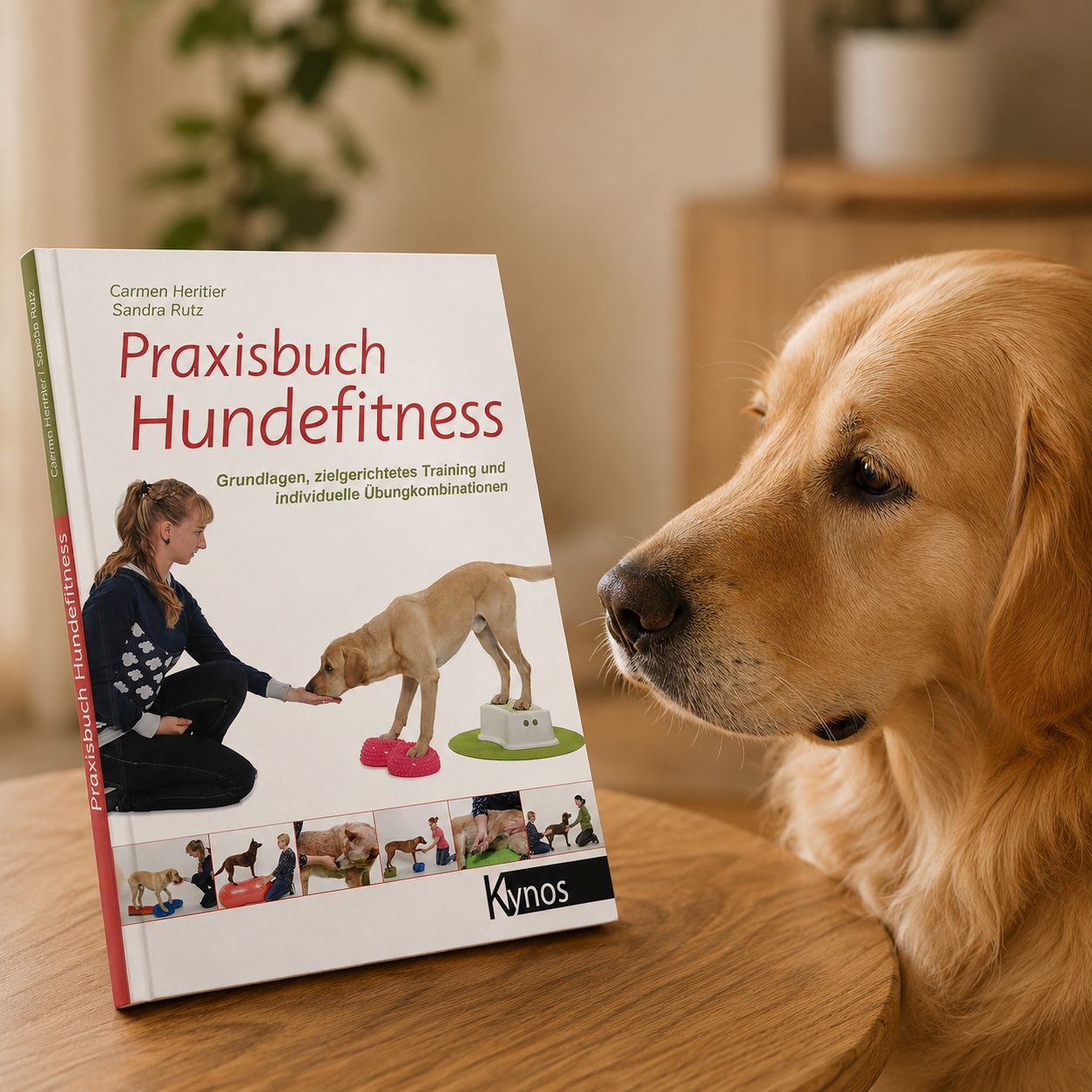 Praxisbuch Hundefitness für Hunde – Produktempfehlung von Tiertherapie Zietz Herzberg am Harz