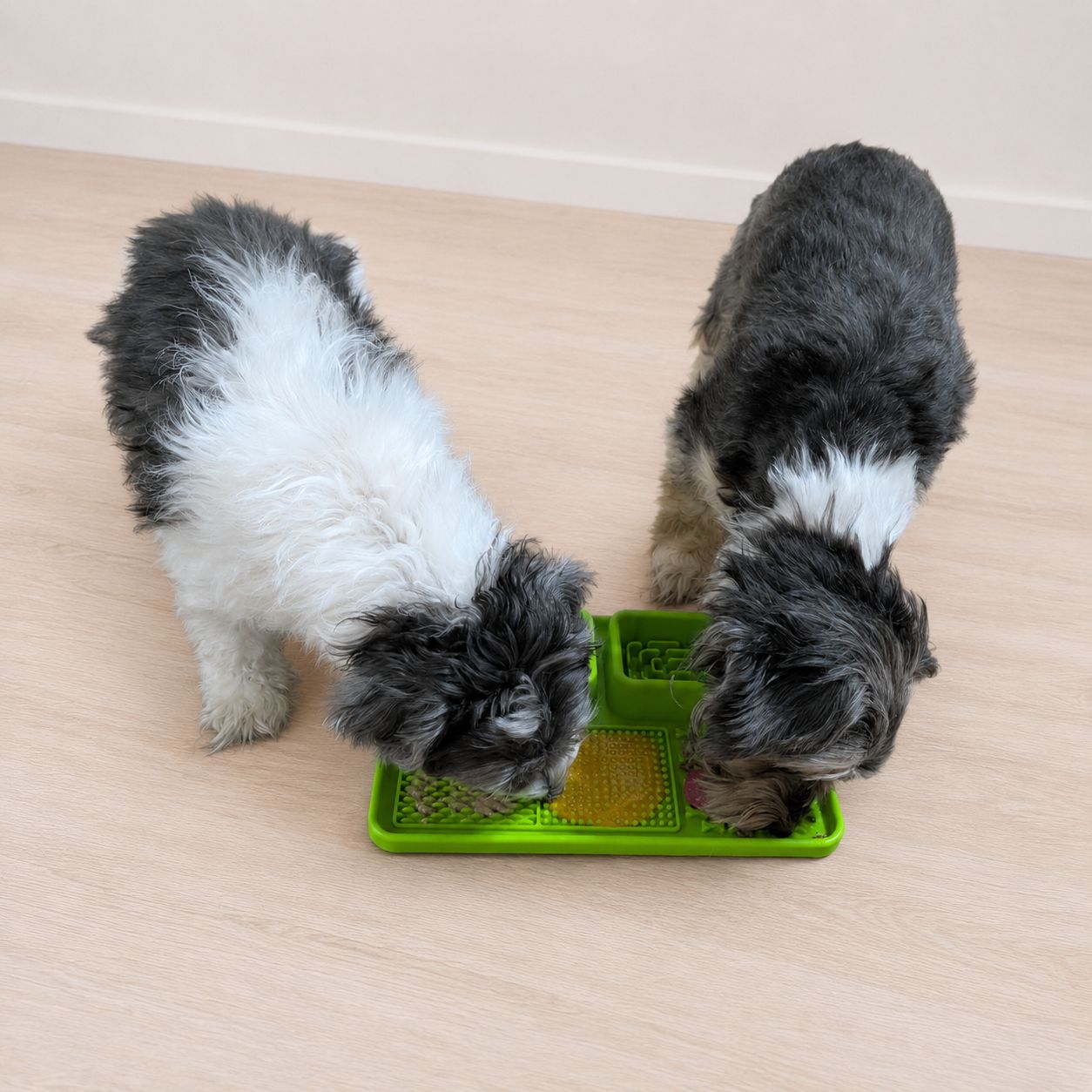 Schleckmatte für Hunde – Produktempfehlung von Tiertherapie Zietz Herzberg am Harz